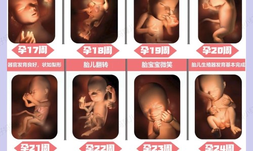 权威狗狗身上溃烂用什么药最好平台,分享专业狗狗身上溃烂用什么药最好知识_狗狗身上癣是怎么回事怎么办网