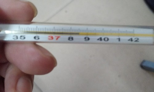 狗狗身上长瘤子怎么治疗-权威狗狗身上溃烂用什么药最好平台,分享专业狗狗身上溃烂用什么药最好知识_狗狗身上癣是怎么回事怎么办网